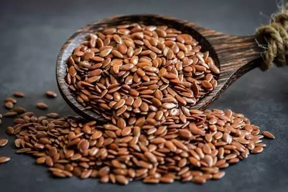 Flax Seeds: అవిసె గింజలతో అద్భుతమైన ప్రయోజనాలు