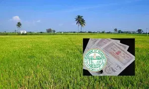 Land Disputes: భూమి వివాదాలు: సర్వే బై నంబర్లతో గందరగోళం Land Disputes: భూమి వివాదాలు: సర్వే బై నంబర్లతో గందరగోళం