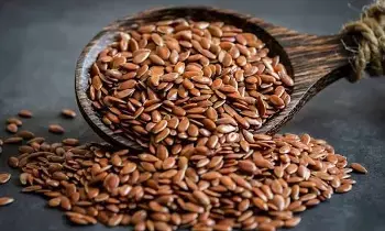Flax Seeds: అవిసె గింజలతో అద్భుతమైన ప్రయోజనాలు Flax Seeds: అవిసె గింజలతో అద్భుతమైన ప్రయోజనాలు