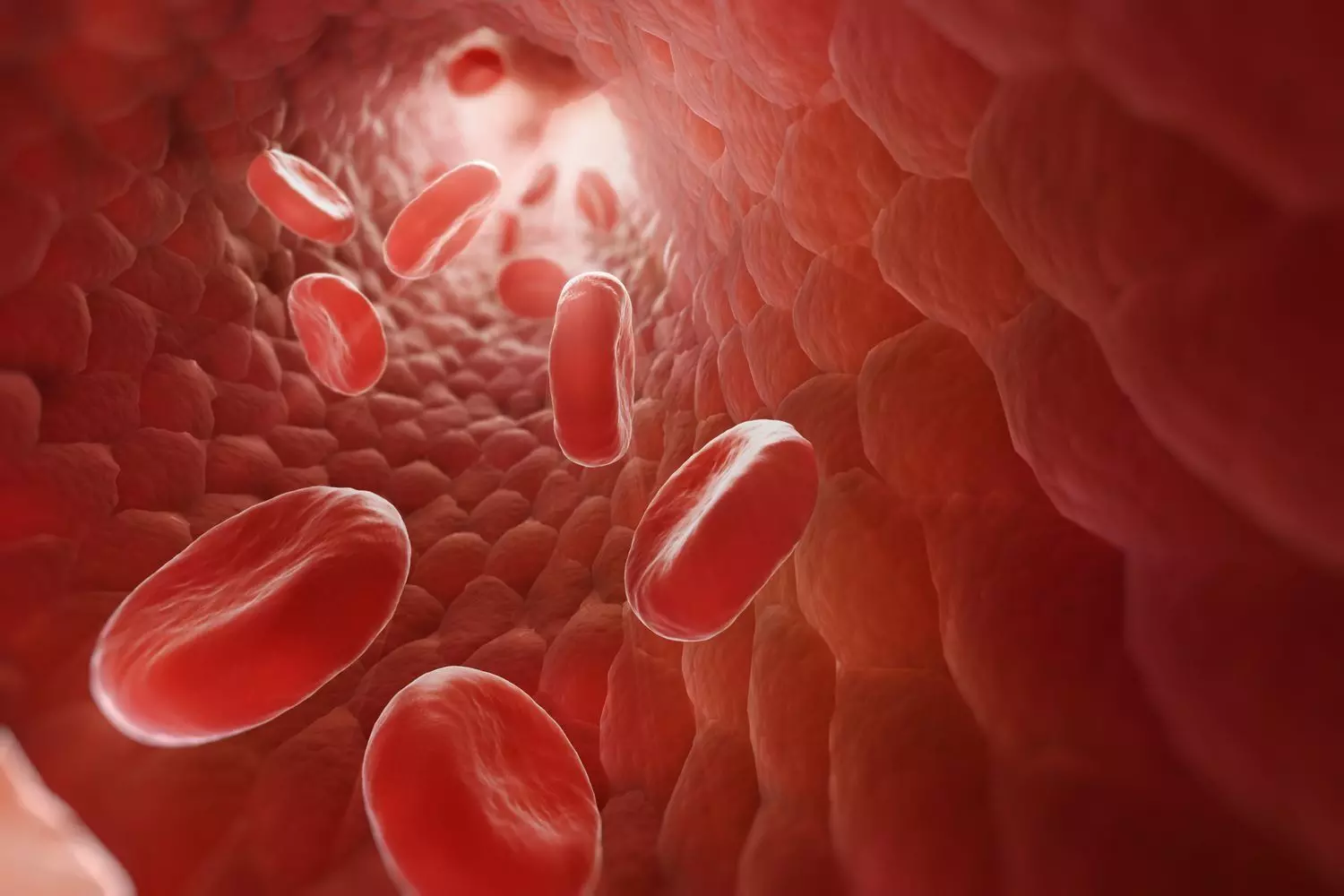 Blood Cells: రక్తకణాలు అంటే ఏంటి..ఎలా ఏర్పడుతుంది.? Blood Cells: రక్తకణాలు అంటే ఏంటి..ఎలా ఏర్పడుతుంది.?
