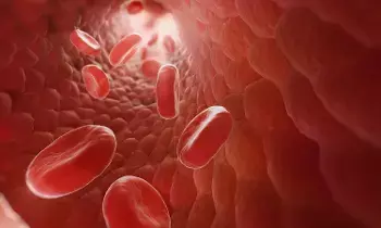 Blood Cells: రక్తకణాలు అంటే ఏంటి..ఎలా ఏర్పడుతుంది.? Blood Cells: రక్తకణాలు అంటే ఏంటి..ఎలా ఏర్పడుతుంది.?