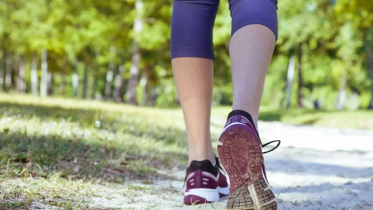 Benefits of Reverse Walking: రివర్స్ వాకింగ్ ప్రయోజనాలు తెలిస్తే ఆశ్చర్యపోతారు.. Benefits of Reverse Walking: రివర్స్ వాకింగ్ ప్రయోజనాలు తెలిస్తే ఆశ్చర్యపోతారు..