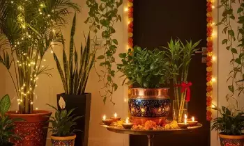 Goddess Lakshmi’s Blessings: లక్ష్మీదేవి కటాక్షం కోసం ఇంట్లో నాటాల్సిన శ్రేయస్సు మొక్కలు ఇవే.. Goddess Lakshmi’s Blessings: లక్ష్మీదేవి కటాక్షం కోసం ఇంట్లో నాటాల్సిన శ్రేయస్సు మొక్కలు ఇవే..