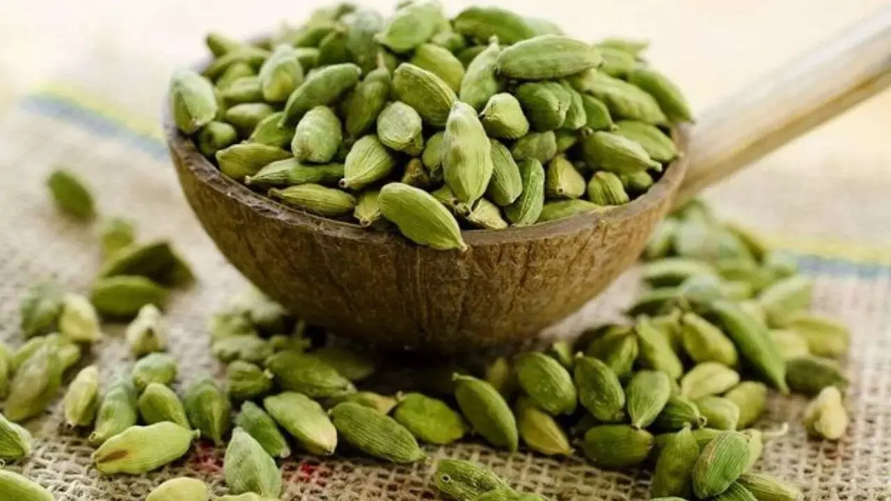 Eating Cardamom After Dinner: రాత్రి భోజనం తర్వాత యాలకులు తింటే ఇన్ని ఆరోగ్య ప్రయోజనాలా Eating Cardamom After Dinner: రాత్రి భోజనం తర్వాత యాలకులు తింటే ఇన్ని ఆరోగ్య ప్రయోజనాలా