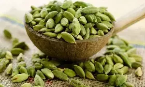 Eating Cardamom After Dinner: రాత్రి భోజనం తర్వాత యాలకులు తింటే ఇన్ని ఆరోగ్య ప్రయోజనాలా Eating Cardamom After Dinner: రాత్రి భోజనం తర్వాత యాలకులు తింటే ఇన్ని ఆరోగ్య ప్రయోజనాలా
