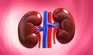Damage Your Kidneys: ఉదయం పూట చేసే ఈ 5 తప్పులు మీ కిడ్నీలను దెబ్బతీస్తాయ్.. Damage Your Kidneys: ఉదయం పూట చేసే ఈ 5 తప్పులు మీ కిడ్నీలను దెబ్బతీస్తాయ్..