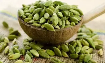 Eating Cardamom After Dinner: రాత్రి భోజనం తర్వాత యాలకులు తింటే ఇన్ని ఆరోగ్య ప్రయోజనాలా Eating Cardamom After Dinner: రాత్రి భోజనం తర్వాత యాలకులు తింటే ఇన్ని ఆరోగ్య ప్రయోజనాలా