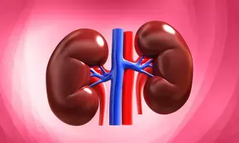 Damage Your Kidneys: ఉదయం పూట చేసే ఈ 5 తప్పులు మీ కిడ్నీలను దెబ్బతీస్తాయ్.. Damage Your Kidneys: ఉదయం పూట చేసే ఈ 5 తప్పులు మీ కిడ్నీలను దెబ్బతీస్తాయ్..