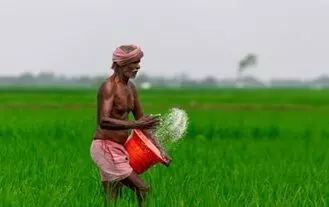 Rabi Shock for Farmers: రైతులకు రబీ షాక్: చైనా ఎరువుల ఎగుమతులు నిలిపివేత.. ధరలు పెరిగే ప్రమాదం! Rabi Shock for Farmers: రైతులకు రబీ షాక్: చైనా ఎరువుల ఎగుమతులు నిలిపివేత.. ధరలు పెరిగే ప్రమాదం!