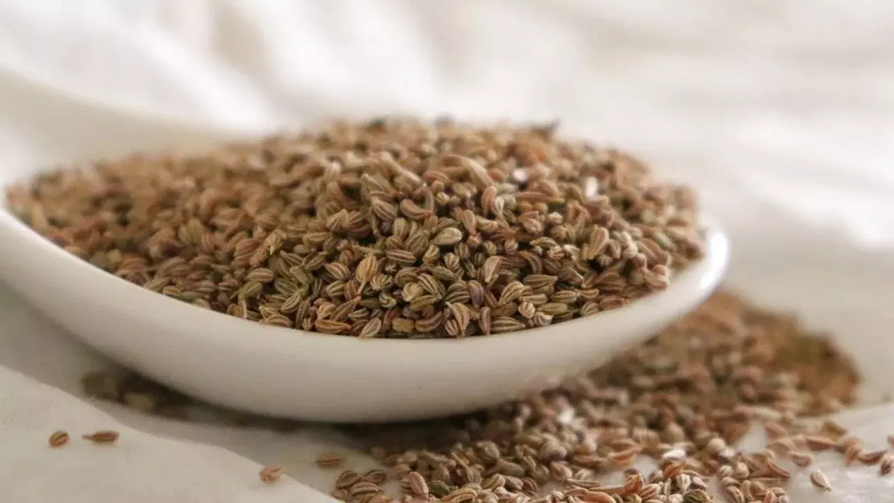 Amazing Benefits of Ajwain: జీర్ణక్రియ నుండి బరువు తగ్గడం వరకు వాము చేసే అద్భుతాలు ఏంటో తెలుసా..? Amazing Benefits of Ajwain: జీర్ణక్రియ నుండి బరువు తగ్గడం వరకు వాము చేసే అద్భుతాలు ఏంటో తెలుసా..?