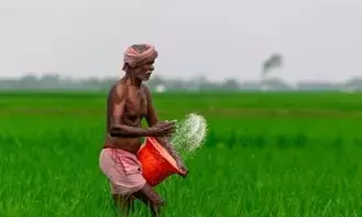 Rabi Shock for Farmers:  రైతులకు రబీ షాక్: చైనా ఎరువుల ఎగుమతులు నిలిపివేత.. ధరలు పెరిగే ప్రమాదం!