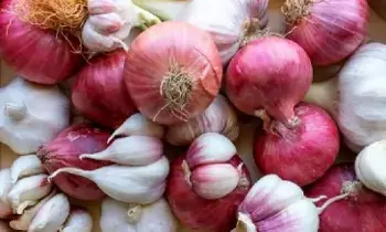 Karthika Masam:  కార్తీక మాసం: ఉల్లిపాయ, వెల్లుల్లి ఎందుకు తినకూడదు? Karthika Masam:  కార్తీక మాసం: ఉల్లిపాయ, వెల్లుల్లి ఎందుకు తినకూడదు?