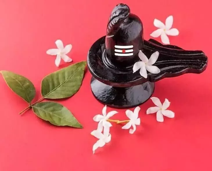 Shiva Puja: శివ పూజలో ఈ పత్రాలను వాడుతున్నారా? Shiva Puja: శివ పూజలో ఈ పత్రాలను వాడుతున్నారా?