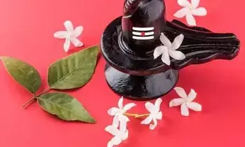 Shiva Puja: శివ పూజలో ఈ పత్రాలను వాడుతున్నారా? Shiva Puja: శివ పూజలో ఈ పత్రాలను వాడుతున్నారా?