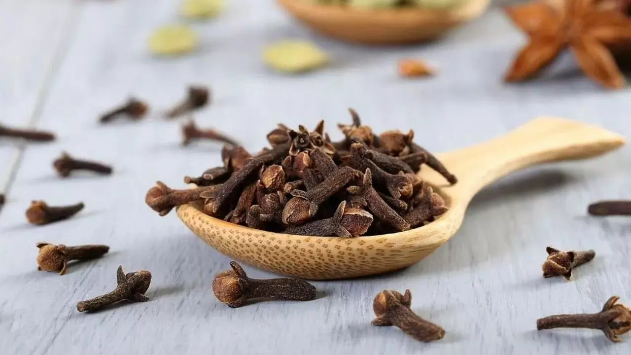 The Benefits of Eating Two Cloves Before Bedtime: రాత్రి పడుకునే ముందు రెండు లవంగాలను తింటే ఎంత మంచిదో తెలుసా.? The Benefits of Eating Two Cloves Before Bedtime: రాత్రి పడుకునే ముందు రెండు లవంగాలను తింటే ఎంత మంచిదో తెలుసా.?