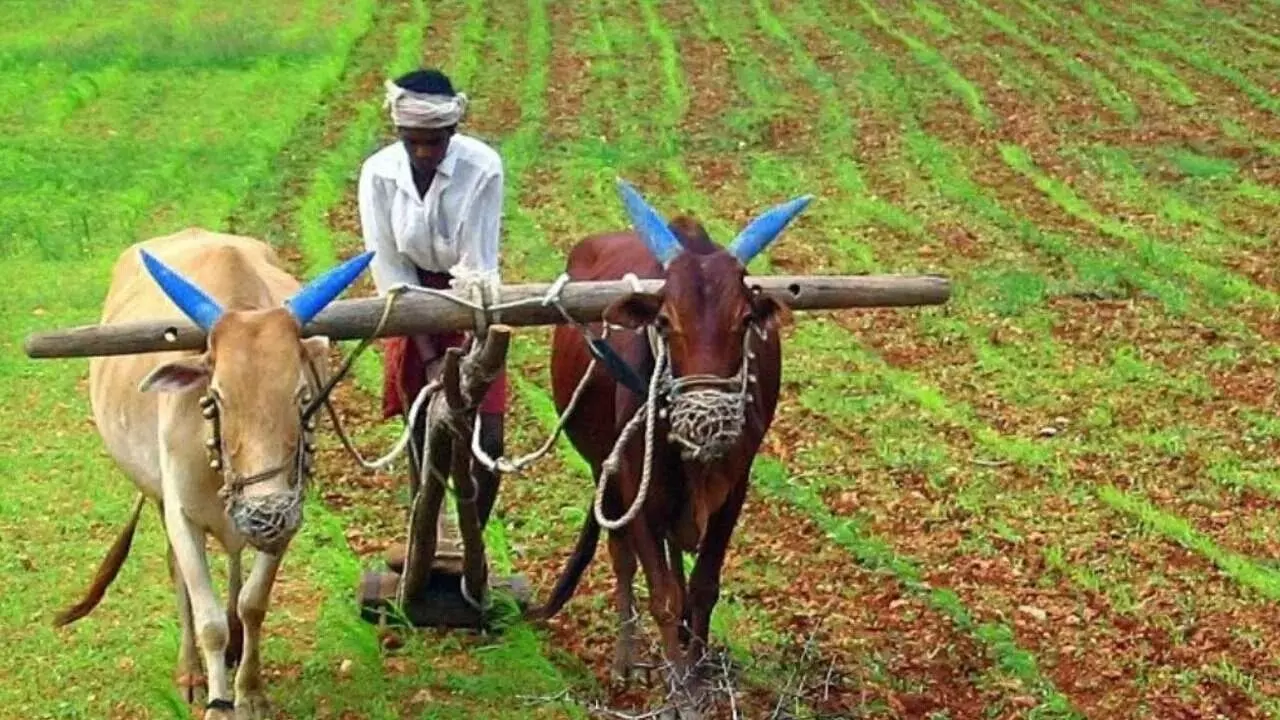 PM Kisan : పీఎం కిసాన్ 21వ విడత డబ్బుల పై కేంద్ర మంత్రి కీలక సూచన PM Kisan : పీఎం కిసాన్ 21వ విడత డబ్బుల పై కేంద్ర మంత్రి కీలక సూచన
