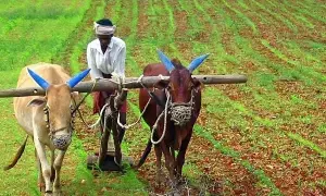 PM Kisan : పీఎం కిసాన్ 21వ విడత డబ్బుల పై కేంద్ర మంత్రి కీలక సూచన PM Kisan : పీఎం కిసాన్ 21వ విడత డబ్బుల పై కేంద్ర మంత్రి కీలక సూచన