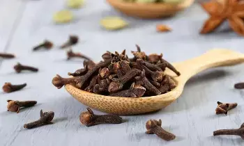 The Benefits of Eating Two Cloves Before Bedtime: రాత్రి పడుకునే ముందు రెండు లవంగాలను తింటే ఎంత మంచిదో తెలుసా.? The Benefits of Eating Two Cloves Before Bedtime: రాత్రి పడుకునే ముందు రెండు లవంగాలను తింటే ఎంత మంచిదో తెలుసా.?