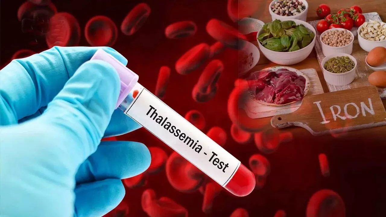 Thalassemia: తలసేమియా అంటే ఏంటీ..? ఈ వ్యాధి ఎలా వస్తుంది..? Thalassemia: తలసేమియా అంటే ఏంటీ..? ఈ వ్యాధి ఎలా వస్తుంది..?