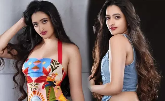 Another Successor from Superstar Krishna’s Family: సూపర్ స్టార్ కృష్ణ కుటుంబం నుంచి మరో వారసురాలు