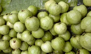 Guava: ఈ సమస్యలు ఉన్నవారు జామకాయ తింటే విషంతో సమానం..!