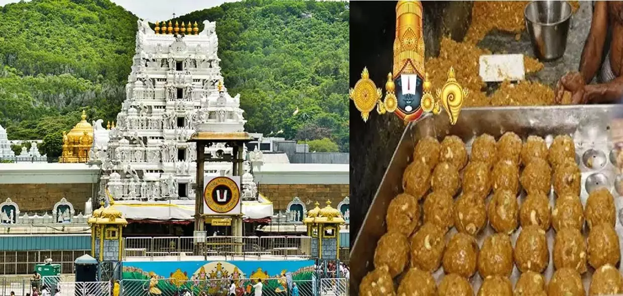 Tirumala Laddu Adulterated Ghee Case:  తిరుమల లడ్డూ కల్తీ నెయ్యి కేసు: చిన్న అప్పన్న అరెస్టుతో కీలక మలుపు.. భారీ కుట్ర వెలుగులోకి Tirumala Laddu Adulterated Ghee Case:  తిరుమల లడ్డూ కల్తీ నెయ్యి కేసు: చిన్న అప్పన్న అరెస్టుతో కీలక మలుపు.. భారీ కుట్ర వెలుగులోకి