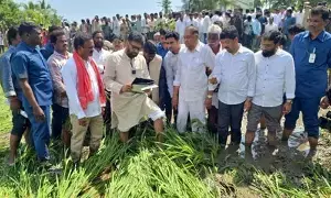 Montha Cyclone:  మొంథా తుఫాను:  కోడూరులో  దెబ్బతిన్న పొలాల రైతులతో మాట్లాడిన డిప్యూటీ సీఎం పవన్ కల్యాణ్ Montha Cyclone:  మొంథా తుఫాను:  కోడూరులో  దెబ్బతిన్న పొలాల రైతులతో మాట్లాడిన డిప్యూటీ సీఎం పవన్ కల్యాణ్