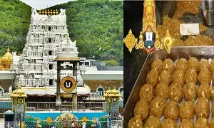 Tirumala Laddu Adulterated Ghee Case:  తిరుమల లడ్డూ కల్తీ నెయ్యి కేసు: చిన్న అప్పన్న అరెస్టుతో కీలక మలుపు.. భారీ కుట్ర వెలుగులోకి Tirumala Laddu Adulterated Ghee Case:  తిరుమల లడ్డూ కల్తీ నెయ్యి కేసు: చిన్న అప్పన్న అరెస్టుతో కీలక మలుపు.. భారీ కుట్ర వెలుగులోకి