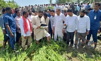 Montha Cyclone:  మొంథా తుఫాను:  కోడూరులో  దెబ్బతిన్న పొలాల రైతులతో మాట్లాడిన డిప్యూటీ సీఎం పవన్ కల్యాణ్