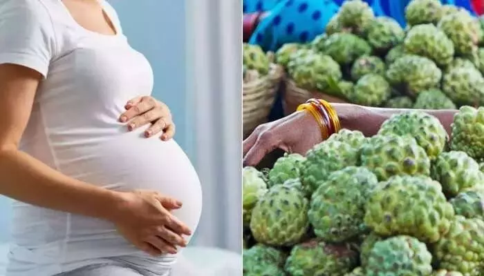 Pregnant Women Eat Custard Apple: గర్భిణులు సీతాఫలం తింటే ఏమవుతుంది.? Pregnant Women Eat Custard Apple: గర్భిణులు సీతాఫలం తింటే ఏమవుతుంది.?