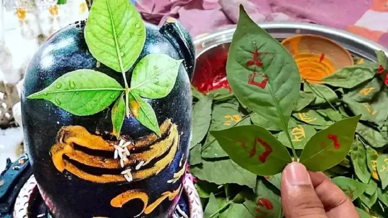 Karthika Masam: కార్తీక మాసంలో శివుడికి ఈ ఒక్క ఆకు సమర్పిస్తే చాలు.. సమస్త కష్టాలు దూరం Karthika Masam: కార్తీక మాసంలో శివుడికి ఈ ఒక్క ఆకు సమర్పిస్తే చాలు.. సమస్త కష్టాలు దూరం