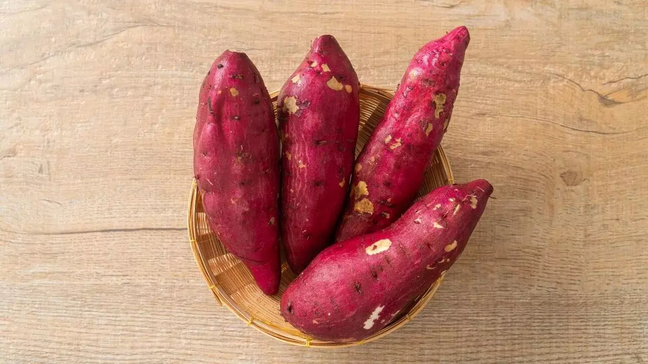 Diabetic Patients Eat Sweet Potatoes: డయాబెటిస్ ఉన్నవారు చిలగడదుంపలు తింటే ఏమవుతుంది..? Diabetic Patients Eat Sweet Potatoes: డయాబెటిస్ ఉన్నవారు చిలగడదుంపలు తింటే ఏమవుతుంది..?