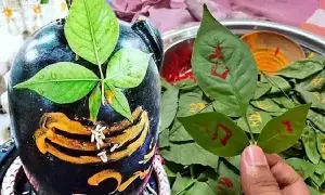 Karthika Masam: కార్తీక మాసంలో శివుడికి ఈ ఒక్క ఆకు సమర్పిస్తే చాలు.. సమస్త కష్టాలు దూరం Karthika Masam: కార్తీక మాసంలో శివుడికి ఈ ఒక్క ఆకు సమర్పిస్తే చాలు.. సమస్త కష్టాలు దూరం