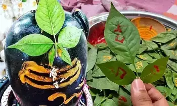 Karthika Masam: కార్తీక మాసంలో శివుడికి ఈ ఒక్క ఆకు సమర్పిస్తే చాలు.. సమస్త కష్టాలు దూరం