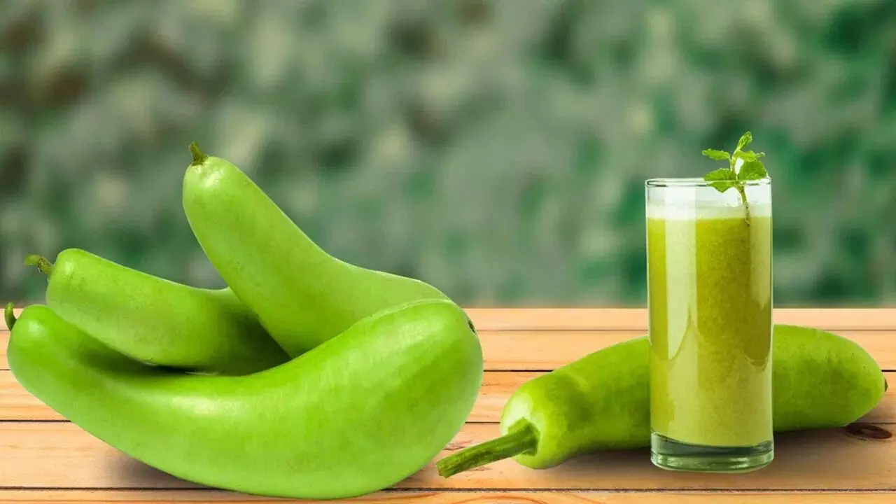 Eating Bottle Gourd Daily Help in Weight Loss: సోరకాయను డైలీ తింటే బరువు తగ్గుతారా? Eating Bottle Gourd Daily Help in Weight Loss: సోరకాయను డైలీ తింటే బరువు తగ్గుతారా?