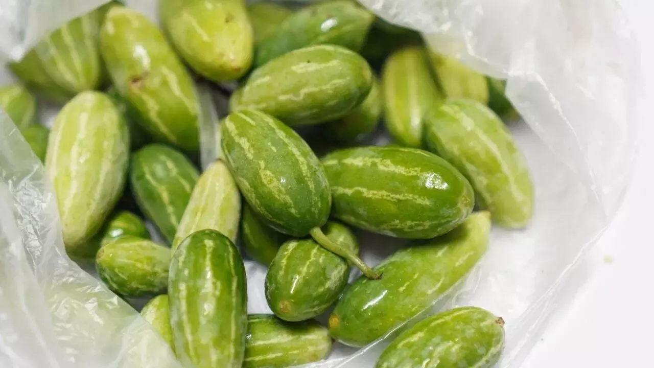 Control Diabetes with This Vegetable: డయాబెటిస్కు ఈ కూరగాయతో చెక్ పెట్టండి. Control Diabetes with This Vegetable: డయాబెటిస్కు ఈ కూరగాయతో చెక్ పెట్టండి.