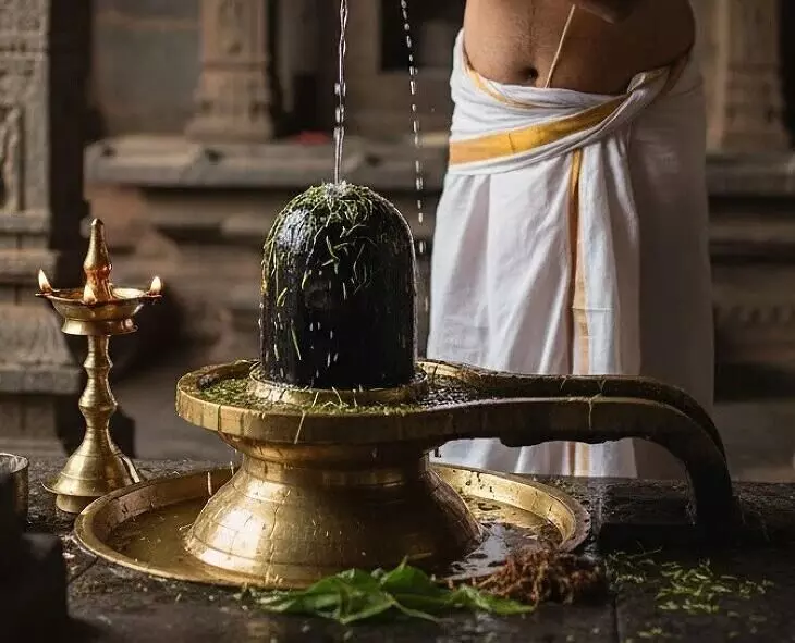Performing Abhishekam to Lord Shiva with Garika Water: పరమేశ్వరుడికి గరిక నీటి అభిషేకం విశిష్టత!