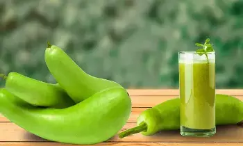 Eating Bottle Gourd Daily Help in Weight Loss: సోరకాయను డైలీ తింటే బరువు తగ్గుతారా? Eating Bottle Gourd Daily Help in Weight Loss: సోరకాయను డైలీ తింటే బరువు తగ్గుతారా?