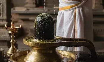 Performing Abhishekam to Lord Shiva with Garika Water: పరమేశ్వరుడికి గరిక నీటి అభిషేకం విశిష్టత!