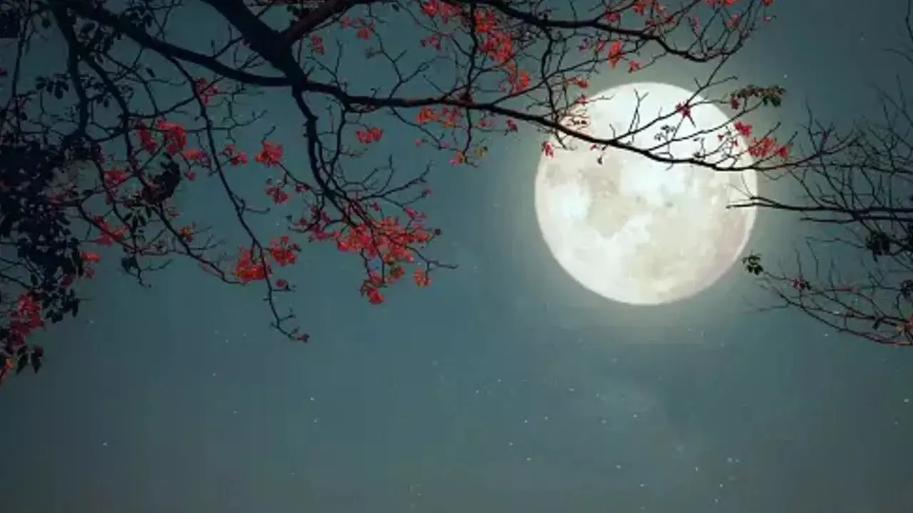 Bharani Nakshatra Falling on Kartika Purnima: వందేళ్ల తర్వాత ఇలా..కార్తీక పౌర్ణమి రోజున భరణి నక్షత్రం Bharani Nakshatra Falling on Kartika Purnima: వందేళ్ల తర్వాత ఇలా..కార్తీక పౌర్ణమి రోజున భరణి నక్షత్రం