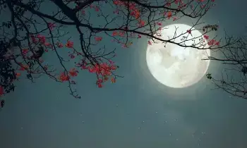 Bharani Nakshatra Falling on Kartika Purnima: వందేళ్ల తర్వాత ఇలా..కార్తీక పౌర్ణమి రోజున భరణి నక్షత్రం