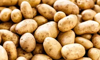 Fake Potatoes in the Market: మార్కెట్లో నకిలీ బంగాళదుంపల బెడద..! ఇలా గుర్తిస్తే తప్పించుకోవచ్చు.. Fake Potatoes in the Market: మార్కెట్లో నకిలీ బంగాళదుంపల బెడద..! ఇలా గుర్తిస్తే తప్పించుకోవచ్చు..