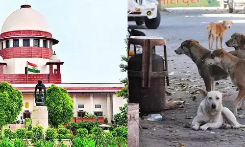 రోడ్లపై ఒక్క వీధి కుక్క కూడా ఉండొద్దు: సుప్రీం కోర్టు ఆదేశం