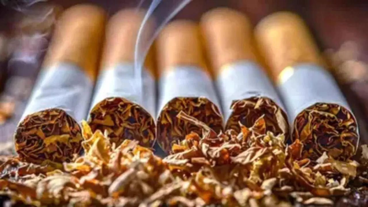 Tobacco Tax Hike : పాన్ మసాలా, పొగాకు మరింత ప్రియం.. బడ్జెట్‌లో కొత్త పన్ను ప్రకటన?
