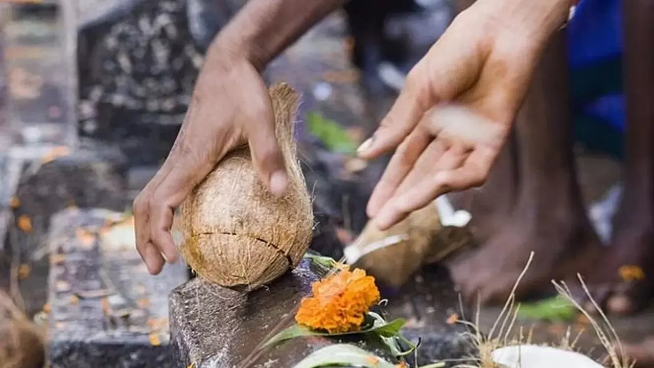Coconuts Are Broken in Temples and During Auspicious Ceremonies: గుడి లేదా శుభకార్యాల్లో కొబ్బరికాయ ఎందుకు కొడతారో తెలుసా..?