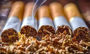 Tobacco Tax Hike : పాన్ మసాలా, పొగాకు మరింత ప్రియం.. బడ్జెట్‌లో కొత్త పన్ను ప్రకటన?