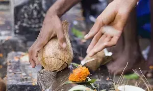 Coconuts Are Broken in Temples and During Auspicious Ceremonies: గుడి లేదా శుభకార్యాల్లో కొబ్బరికాయ ఎందుకు కొడతారో తెలుసా..?