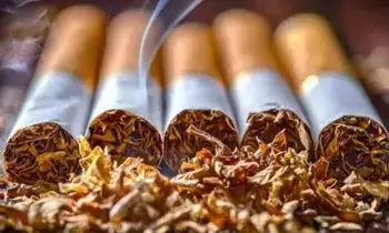Tobacco Tax Hike : పాన్ మసాలా, పొగాకు మరింత ప్రియం.. బడ్జెట్‌లో కొత్త పన్ను ప్రకటన?