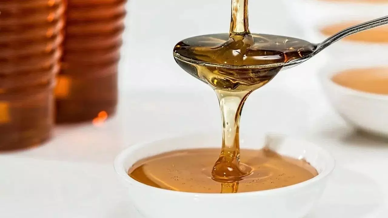 Eating 1 Teaspoon of Honey Daily: రోజూ 1 టీస్పూన్ తేనే తింటే కలిగే 5 అద్భుత ప్రయోజనాలు ఇవే..