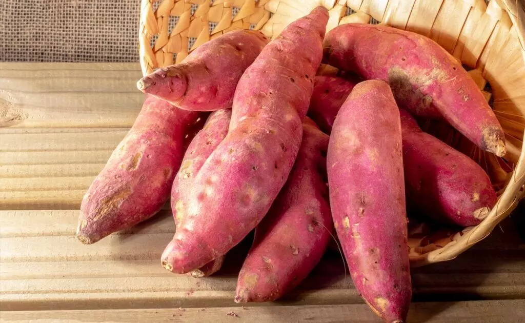 Health Benefits of Sweet Potato: చలికాలపు సూపర్ ఫుడ్.. చిలగడదుంపతో 6 అద్భుత ఆరోగ్య ప్రయోజనాలు